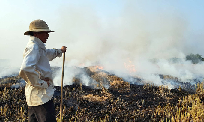 Picture 1 of Seven ways to turn straw into money, instead of burning it