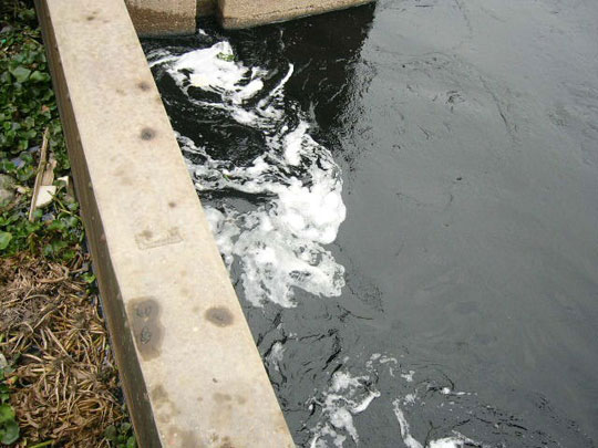 Picture 1 of Severe environmental pollution in flooded areas