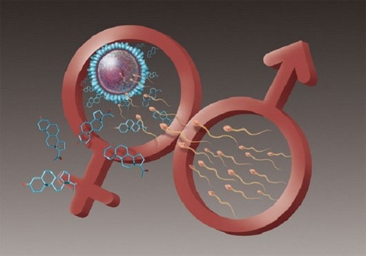 Picture 2 of Sexual learning - discoveries 'shocking' in history