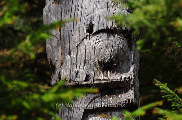 Picture 4 of SGang Gwaay National Park Reserve - Canada