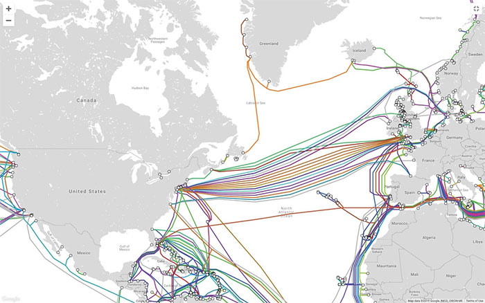 Picture 2 of Shark injustice when broken fiber optic cable