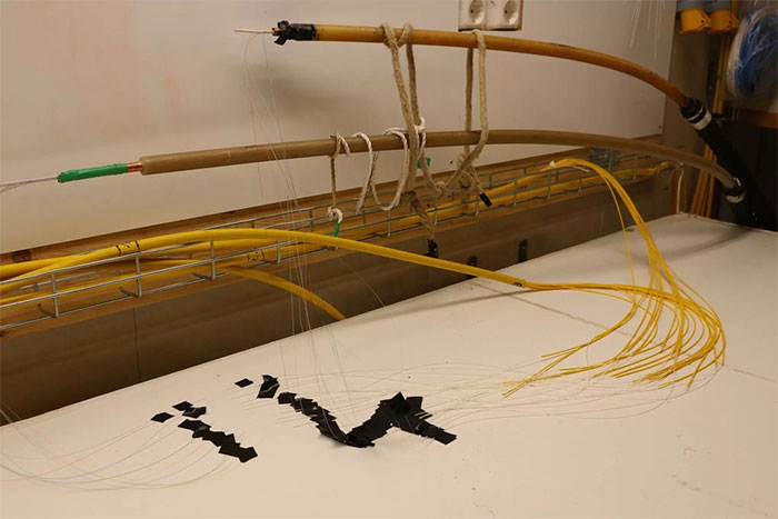 Picture 3 of Shark injustice when broken fiber optic cable