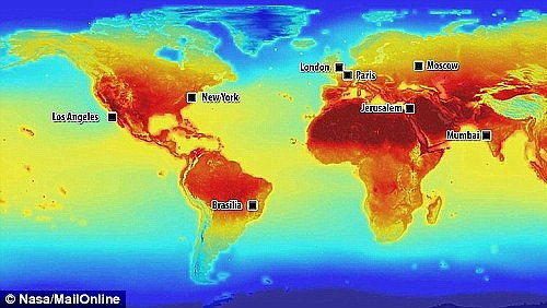 Picture 3 of Sharks become more aggressive because of global warming