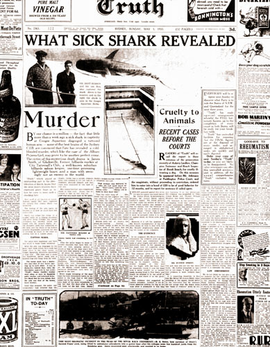 Picture 2 of Sharks in the Australian aquarium help detect murderers