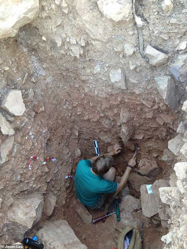 Picture 2 of Shocked by evidence of another human being clearing the island