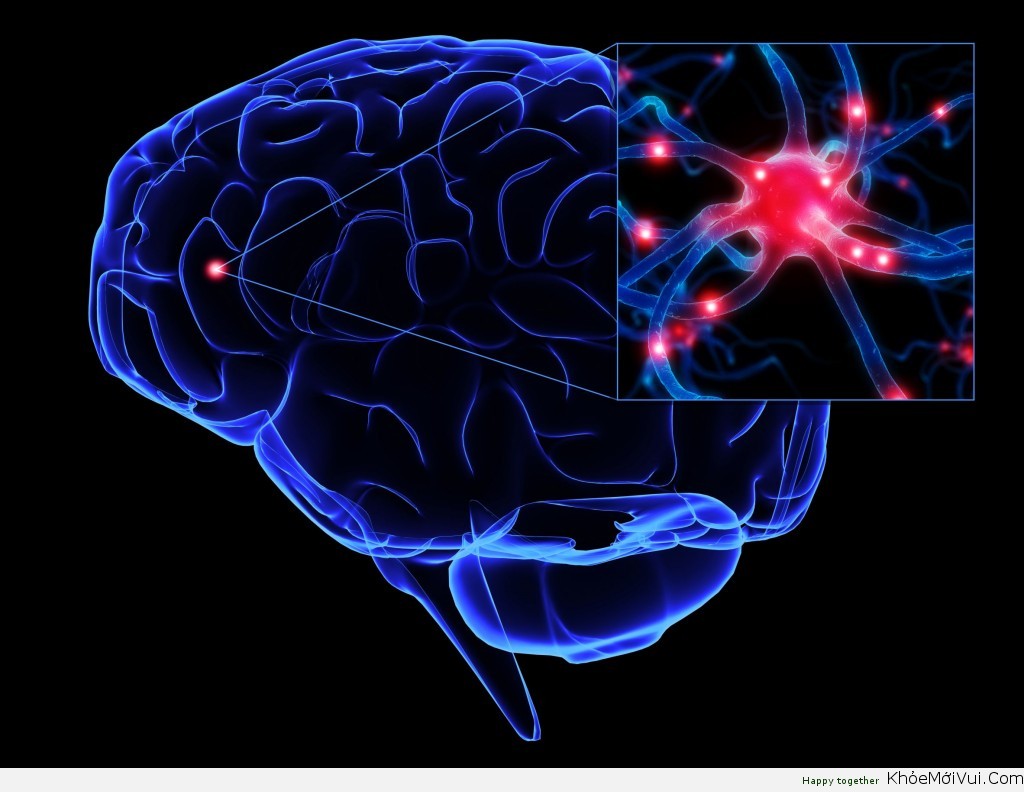 Picture 13 of Shocking facts about the human brain