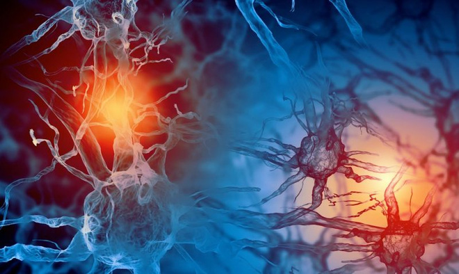 Picture 15 of Shocking facts about the human brain