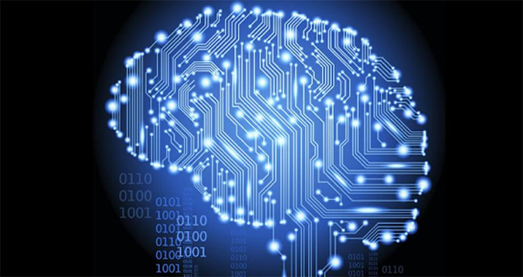 Picture 16 of Shocking facts about the human brain