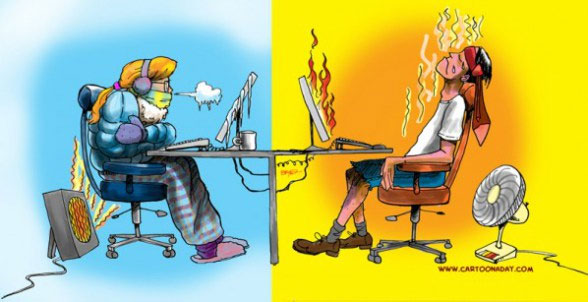 Picture 2 of Shocking research: The smartest person at 22 degrees Celsius