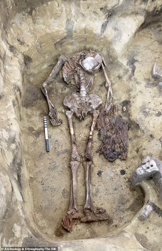 Picture 1 of Shocking the 'bird' remains in 5,000 year old tombs