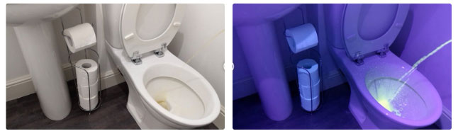 Picture 5 of Should men urinate sitting instead of standing?