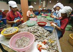 Picture 1 of Shrimp shells are not garbage