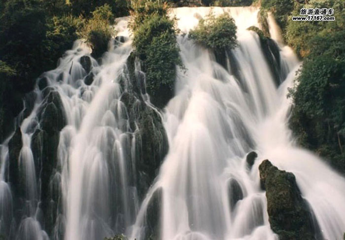 Picture 2 of Sichuan Big Panda Reserve