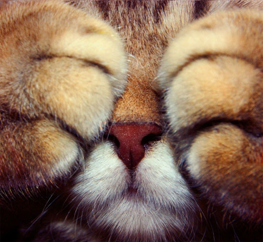 Picture 4 of Signifies that you are 'extremely sensitive'