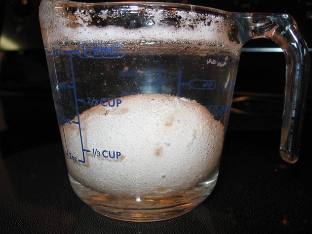 Picture 3 of Simple experiment to turn eggs into transparent balls, bouncing like table tennis