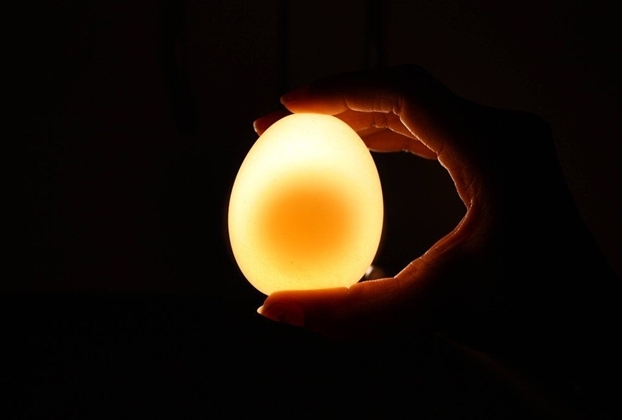 Picture 7 of Simple experiment to turn eggs into transparent balls, bouncing like table tennis