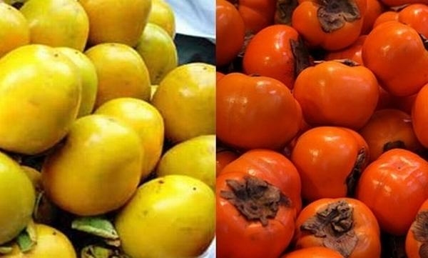 Picture 11 of Simple way to identify Chinese vegetables and fruits