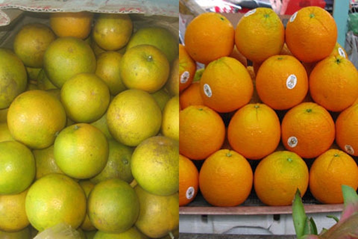 Picture 13 of Simple way to identify Chinese vegetables and fruits