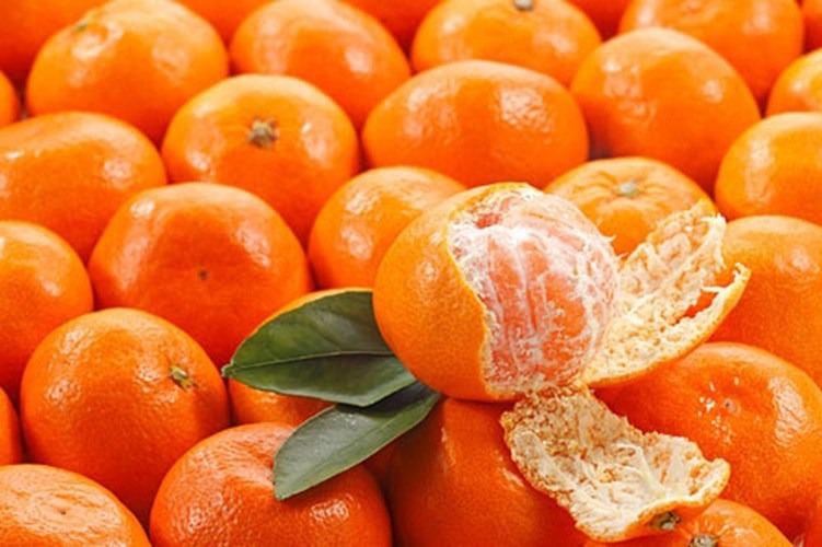 Picture 14 of Simple way to identify Chinese vegetables and fruits
