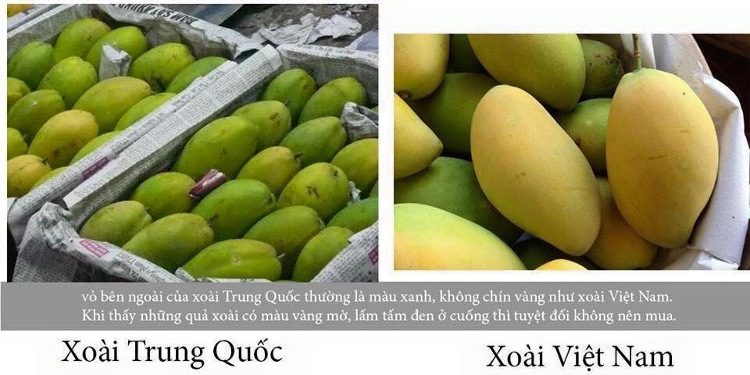 Picture 17 of Simple way to identify Chinese vegetables and fruits