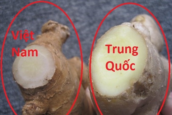 Picture 4 of Simple way to identify Chinese vegetables and fruits