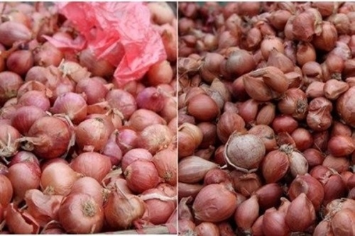 Picture 5 of Simple way to identify Chinese vegetables and fruits