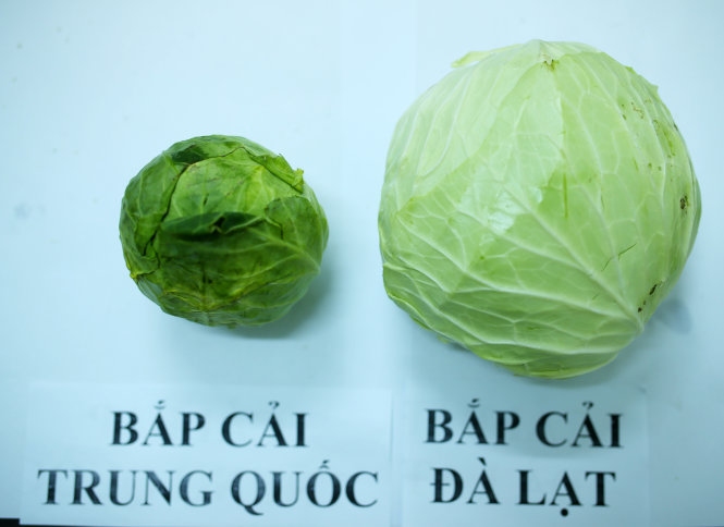 Picture 8 of Simple way to identify Chinese vegetables and fruits