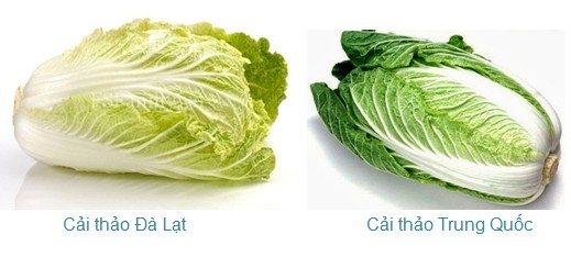 Picture 9 of Simple way to identify Chinese vegetables and fruits