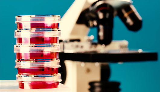 Picture 1 of Simulation of mutations that support HIV treatment