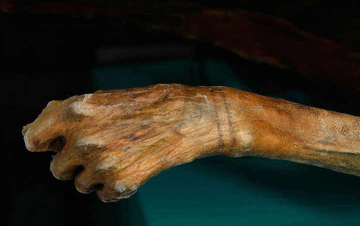Picture 5 of Since ancient times, why do people wear jewelry?