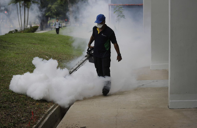 Picture 2 of Singapore: Zika virus is transmitted in the country