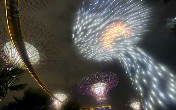 Picture 1 of Singapore's super-garden 'super-tree'