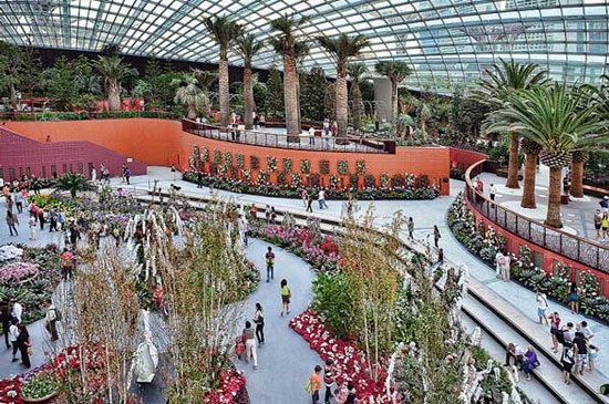 Picture 11 of Singapore's super-garden 'super-tree'