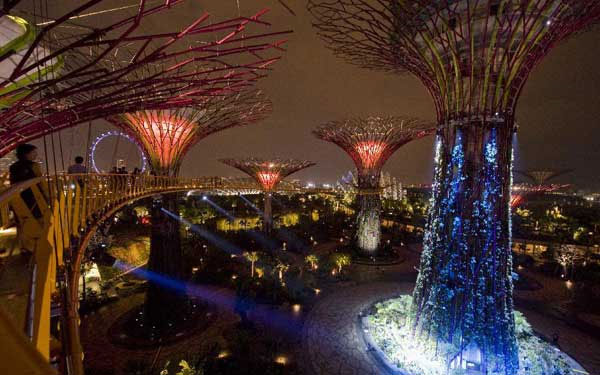 Picture 4 of Singapore's super-garden 'super-tree'