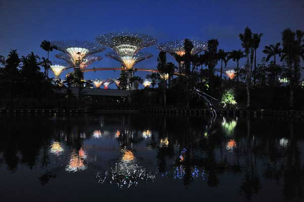 Picture 6 of Singapore's super-garden 'super-tree'
