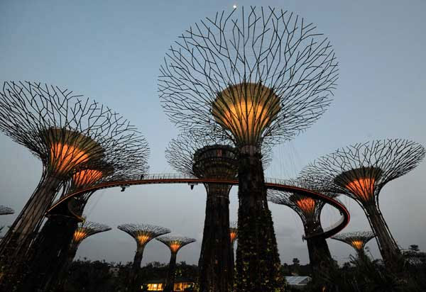 Picture 8 of Singapore's super-garden 'super-tree'
