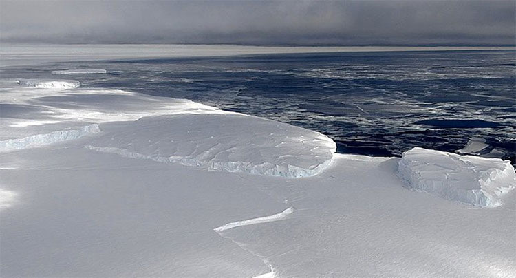 Picture 1 of 'Singing' from Antarctica will be the sound that haunts you most today