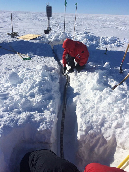 Picture 2 of 'Singing' from Antarctica will be the sound that haunts you most today
