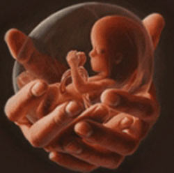 Picture 1 of Single abortions also increase the risk of premature birth by 35%