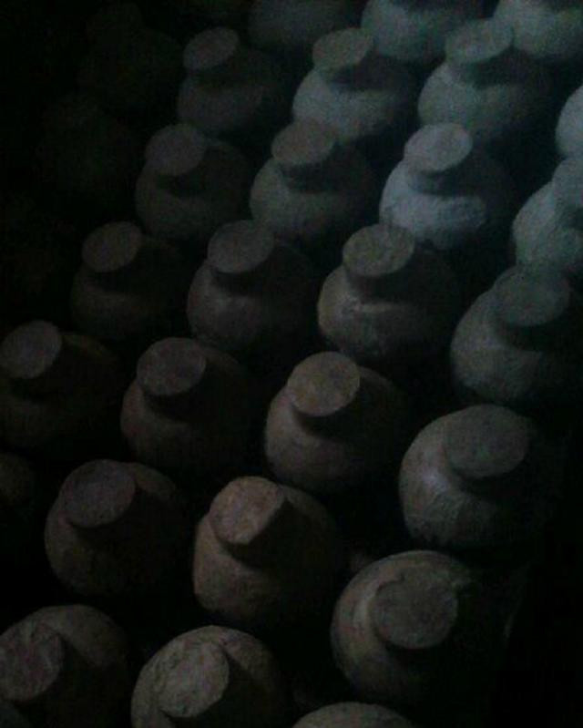Picture 8 of Sitting in a potato cellar, the old farmer discovers a huge treasure