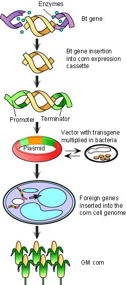 Picture 4 of Situation of China's biotechnology industry