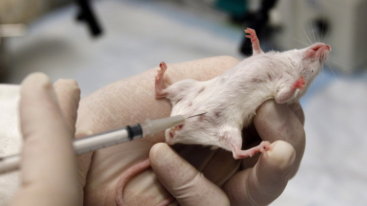 Picture 2 of Situation of laboratories in the UK when accidentally creating a