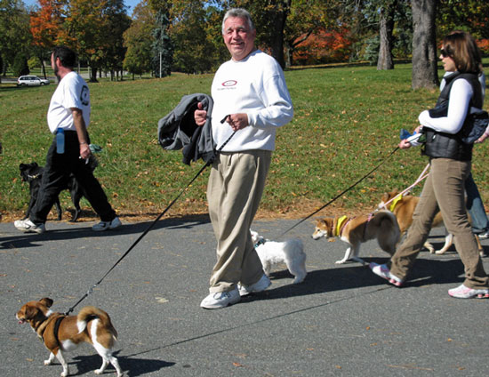 Picture 1 of Slow-moving people lose memory more than usual
