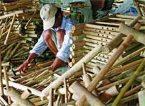 Picture 5 of Small secrets of bamboo
