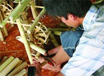 Picture 6 of Small secrets of bamboo