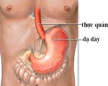 Picture 2 of Small stomach easy to drink