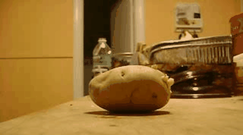 Picture 3 of Small tips to help you plug the thin straw through the potato