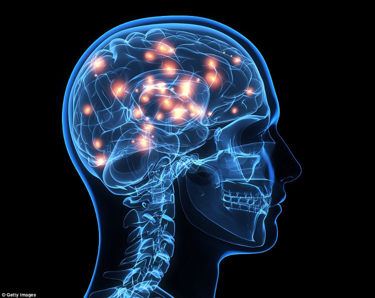 Picture 1 of Smart people have unusual brain waves