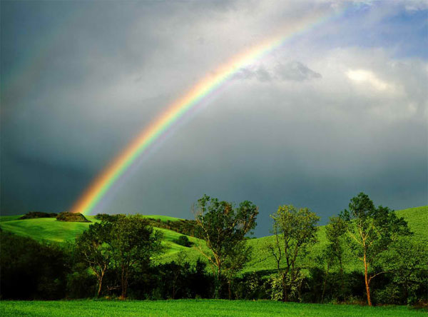 Picture 1 of Smell pleasant after the rain from where?