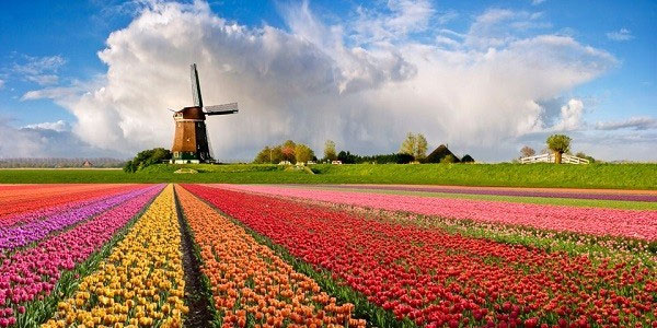 Picture 13 of Smell the characteristic scent of countries around the world